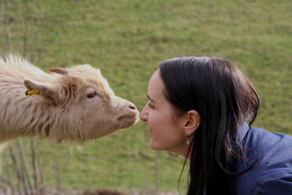 Eine Frau berührt sanft mit ihrer Nase die Nase einer jungen Kuh.