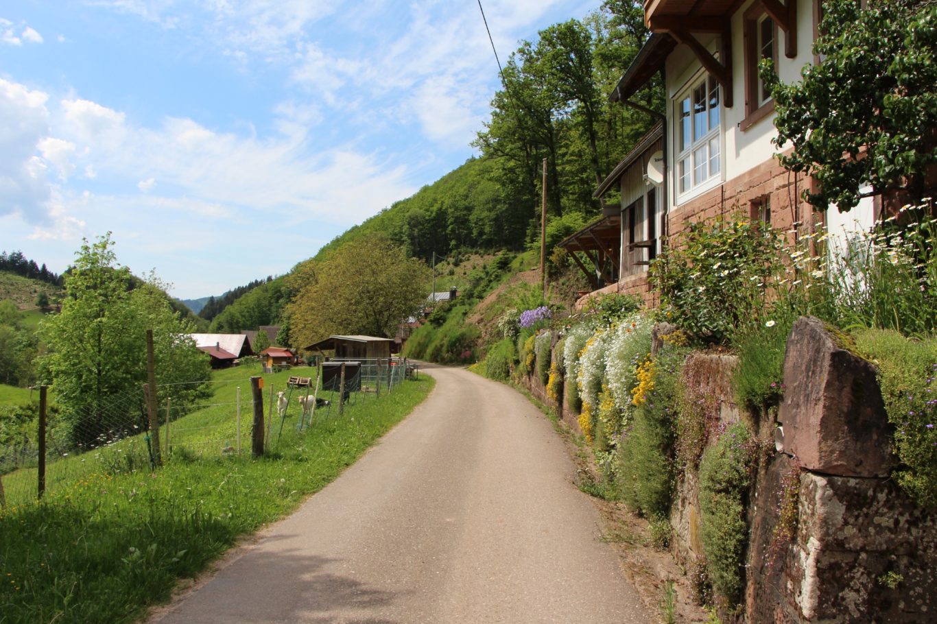 Ein schmaler Weg entlang eines grünen Hangs mit Blumen und einem Haus.