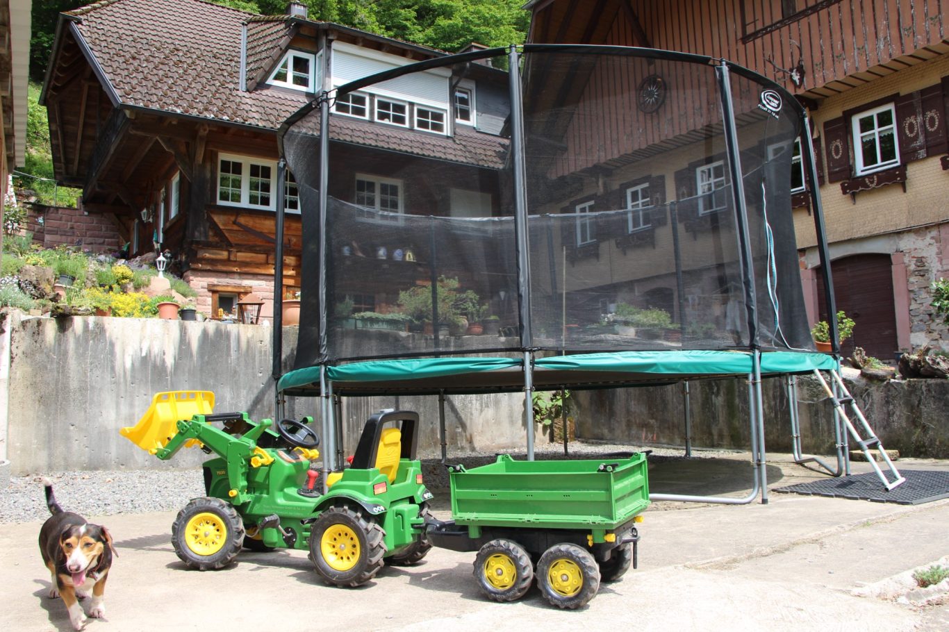 Trampolin springen im Schwarzwald auf dem Hinterbauer Hof