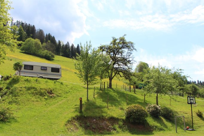 Entspannen Sie sich auf dem Hinterbauer Hof mit ihrem Wohnwagen umgeben von Wald und Wiese.